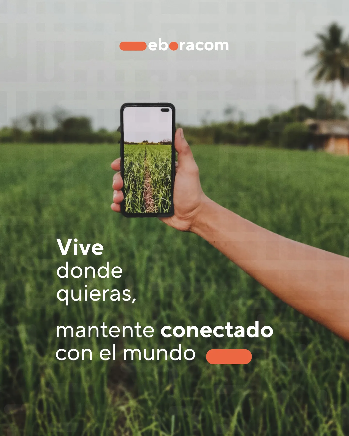antena de internet rural fiable instalada en tejado de casa de campo en Toledo